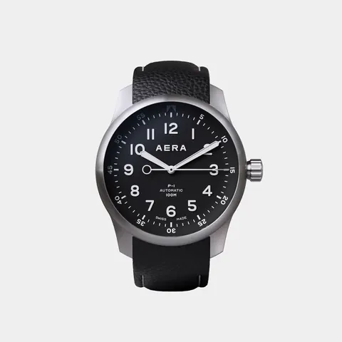 P-1 Pilot