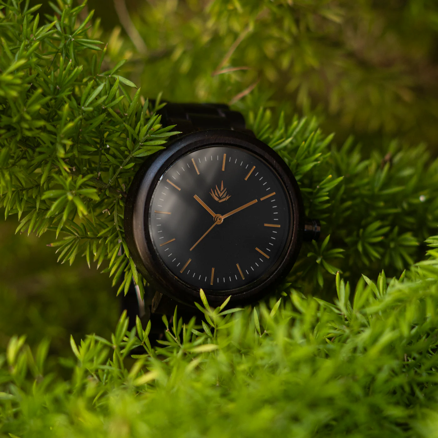 Agavus Pair Special Edition 37mm and 44mm Ebony / Bronze thumbnail 4