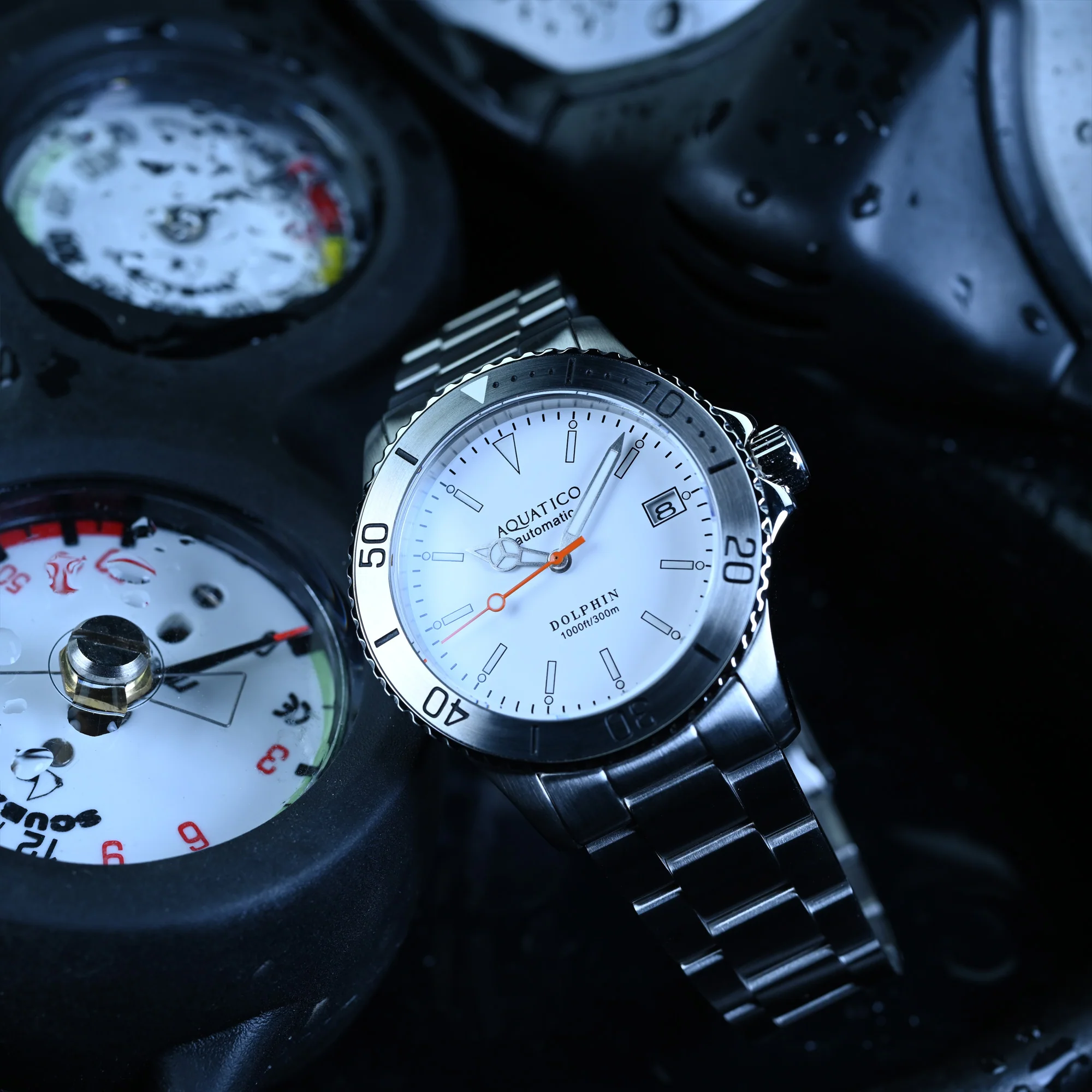 Aquatico Dolphin 38mm Dive Watch White Dial (NH35) thumbnail 2