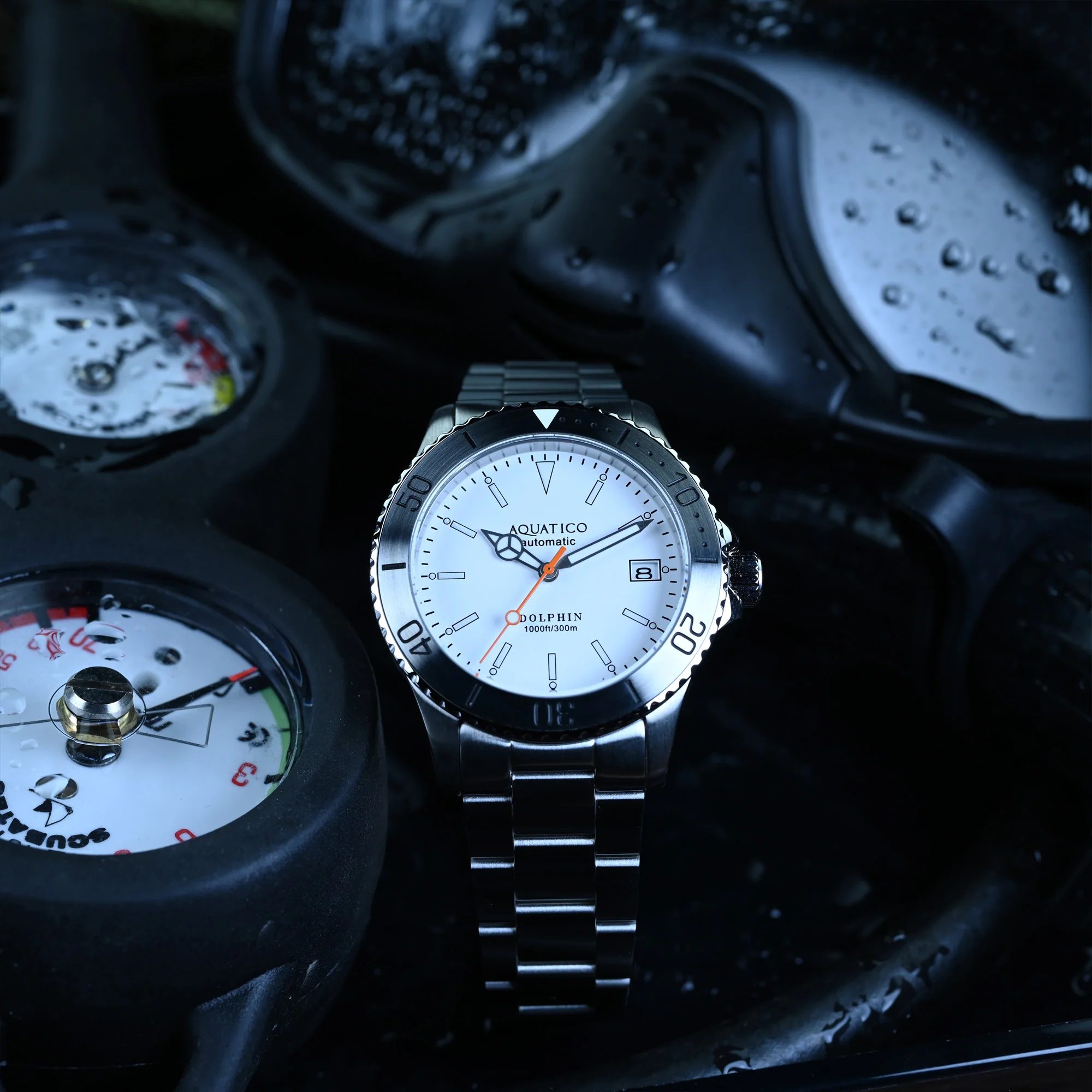 Aquatico Dolphin 38mm Dive Watch White Dial (NH35) thumbnail 3