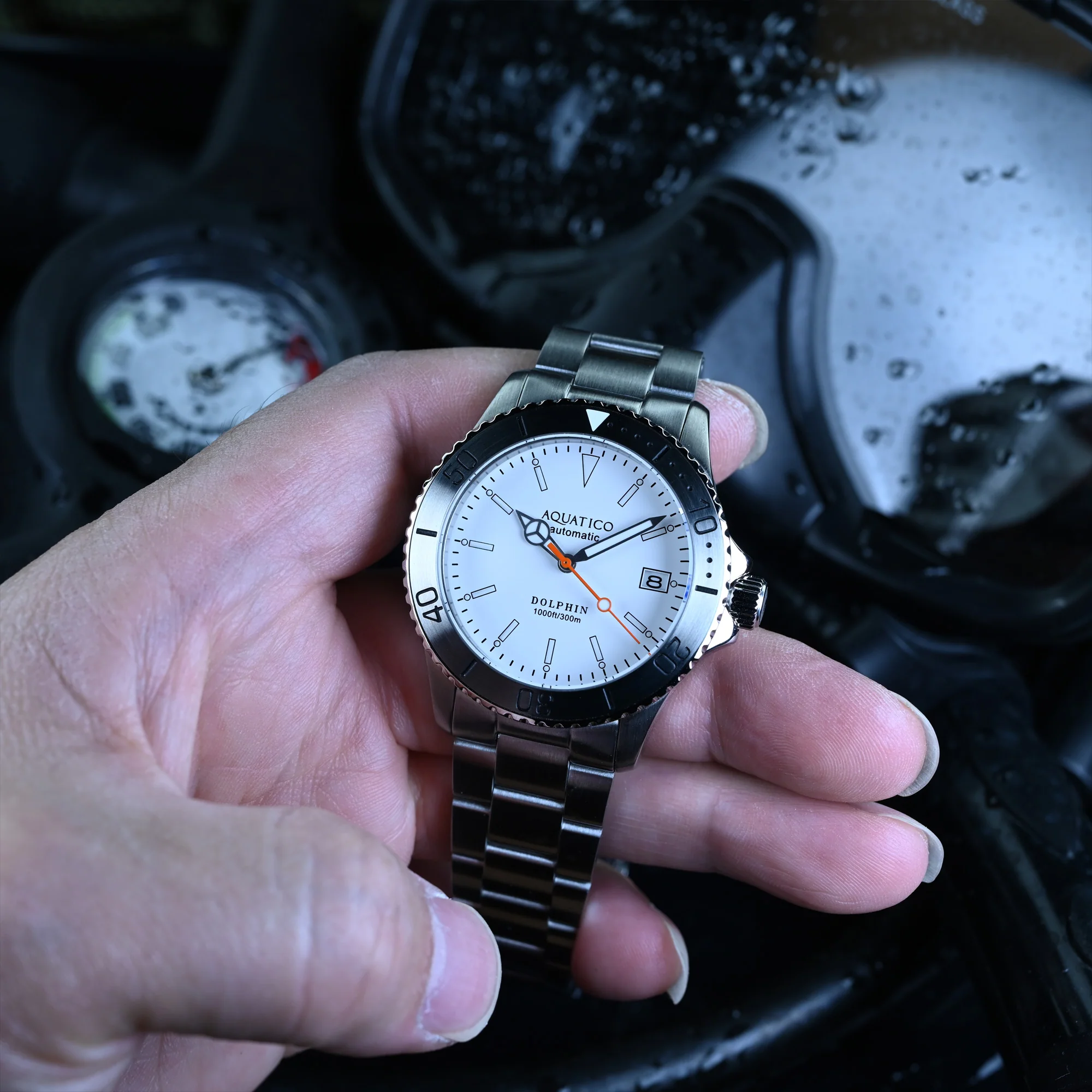 Aquatico Dolphin 38mm Dive Watch White Dial (NH35) thumbnail 4