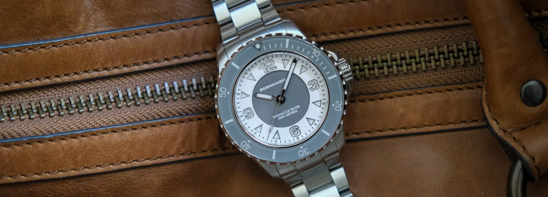 20th Anniversary Diver thumbnail 2