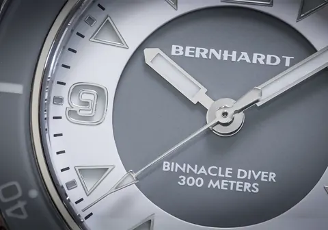 20th Anniversary Diver