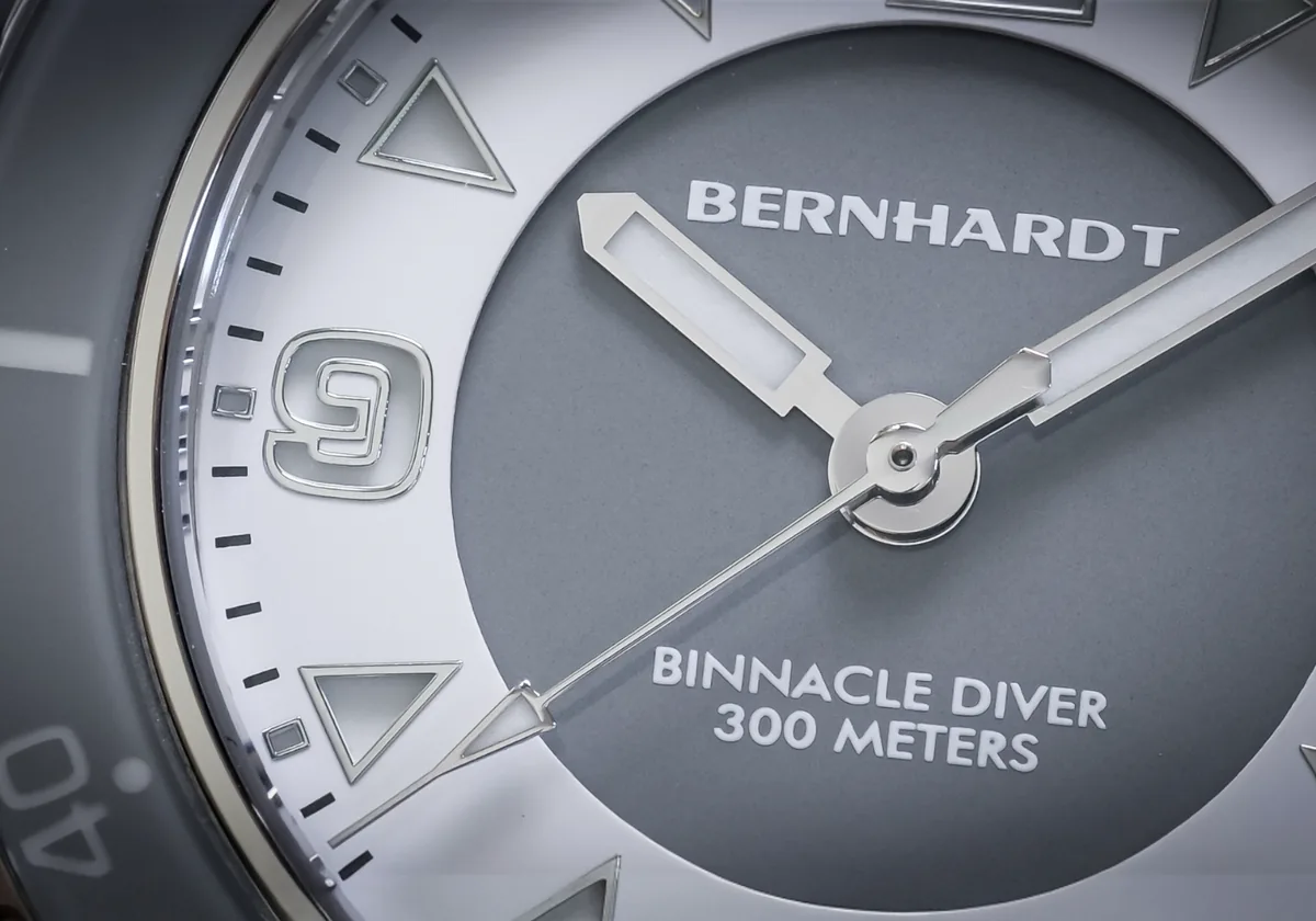 20th Anniversary Diver selected view