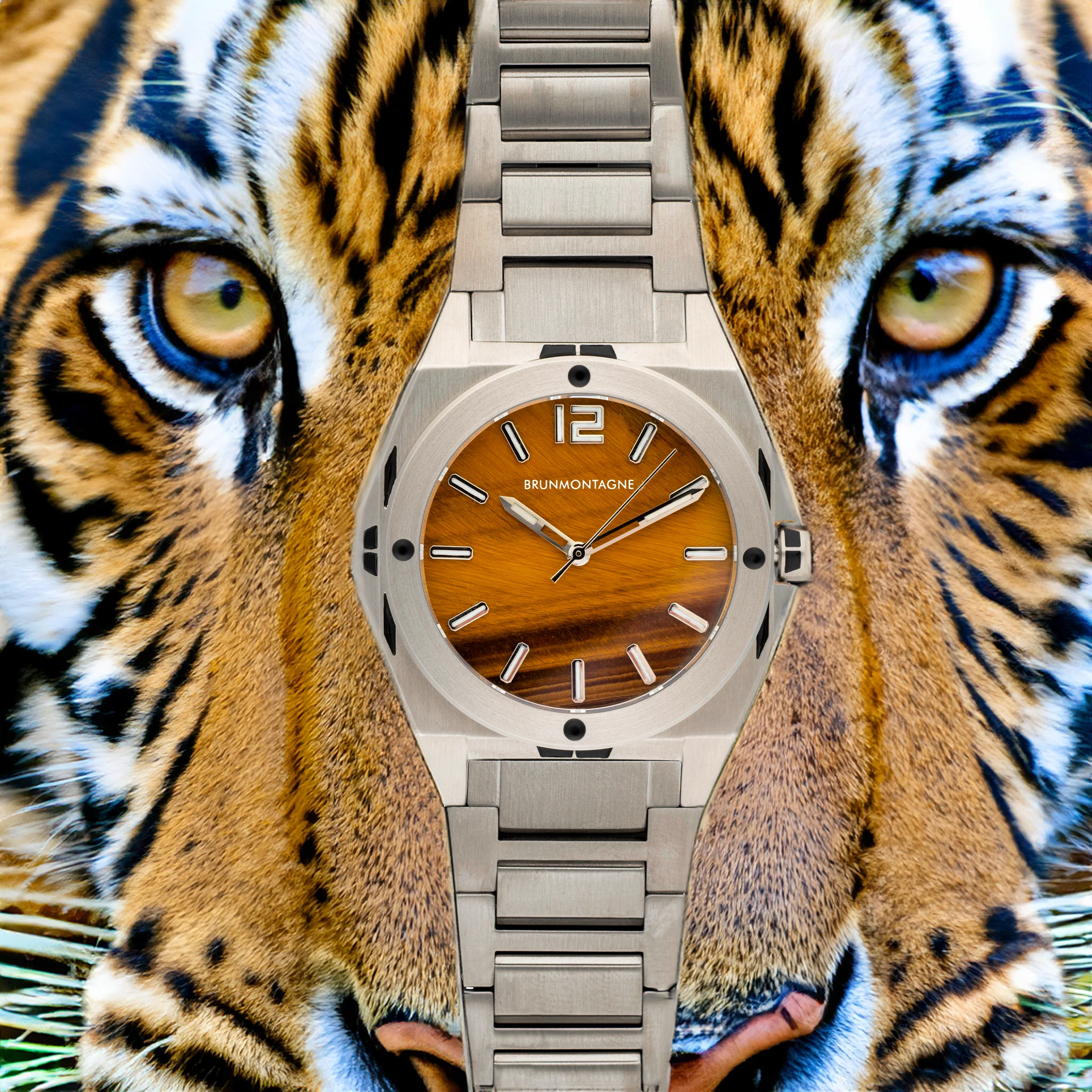 Limited Edition Representor Tigereye selected view