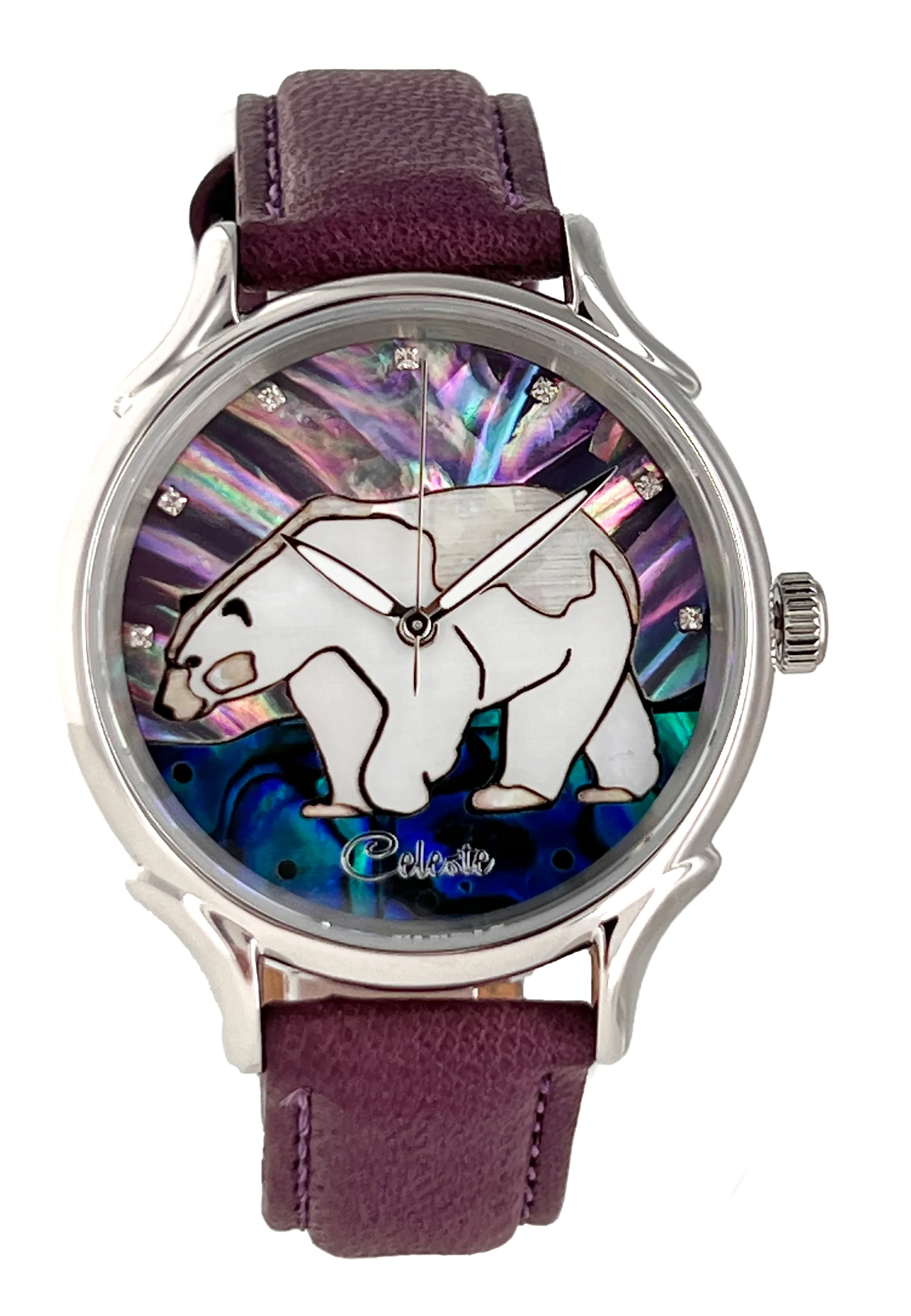Arctic Wild - Polar Bear thumbnail 3