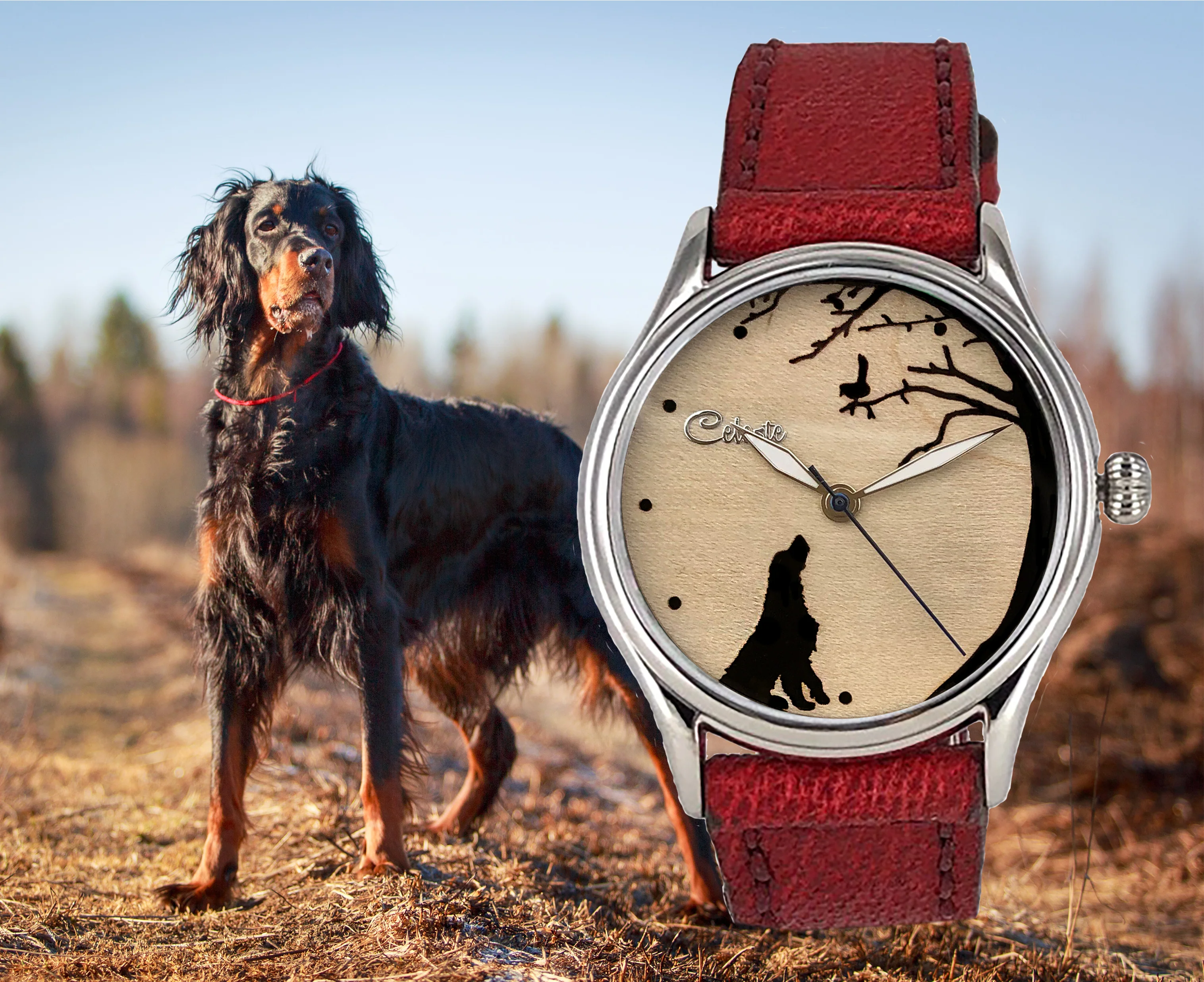 Bird Dog thumbnail 3