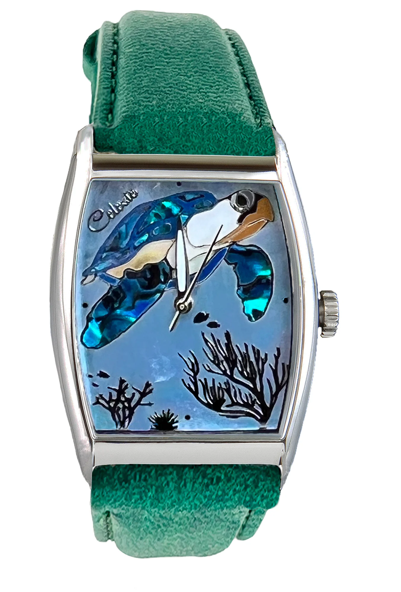 Honu thumbnail 3