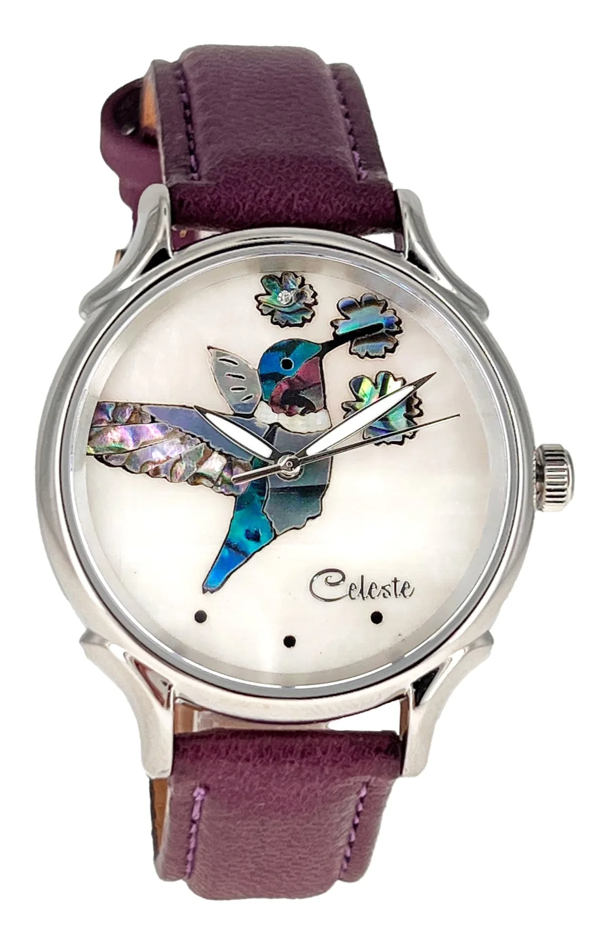 Hummingbird thumbnail 3