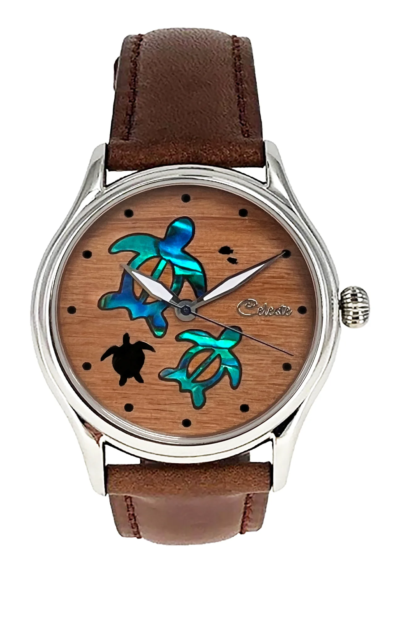 Navigator - Sea Turtle thumbnail 2