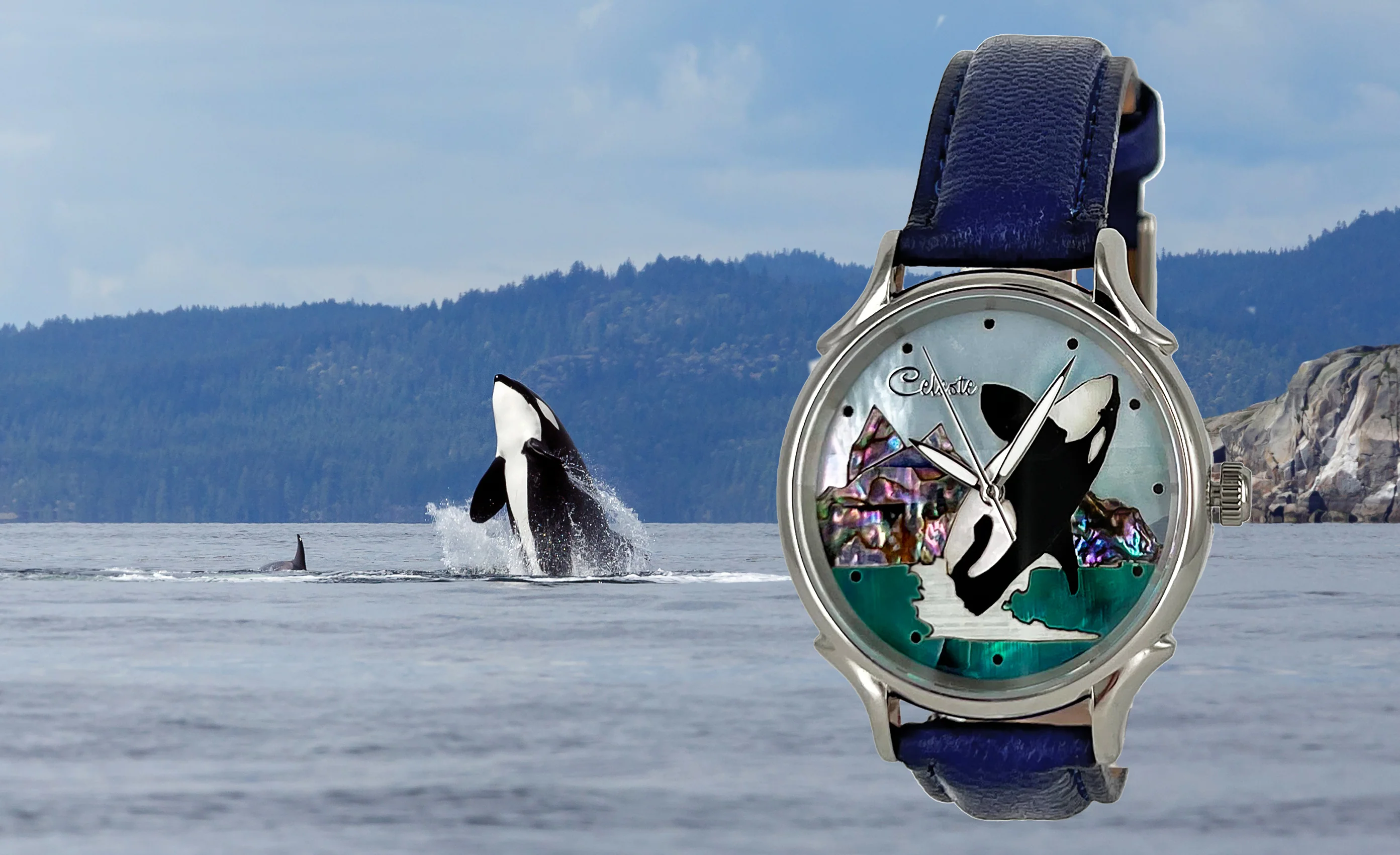 Orca thumbnail 2