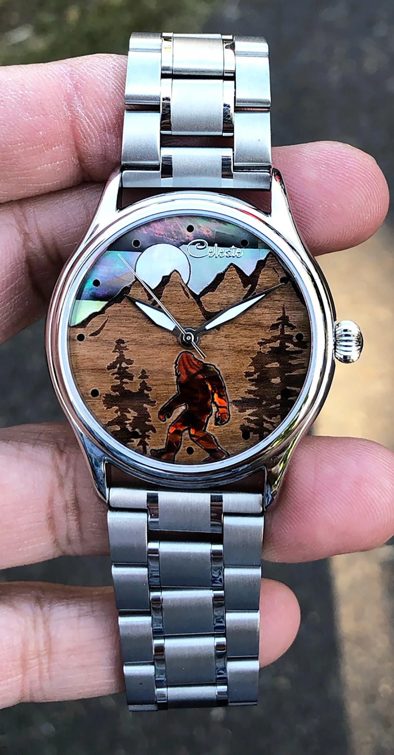 Sasq-Watch thumbnail 3