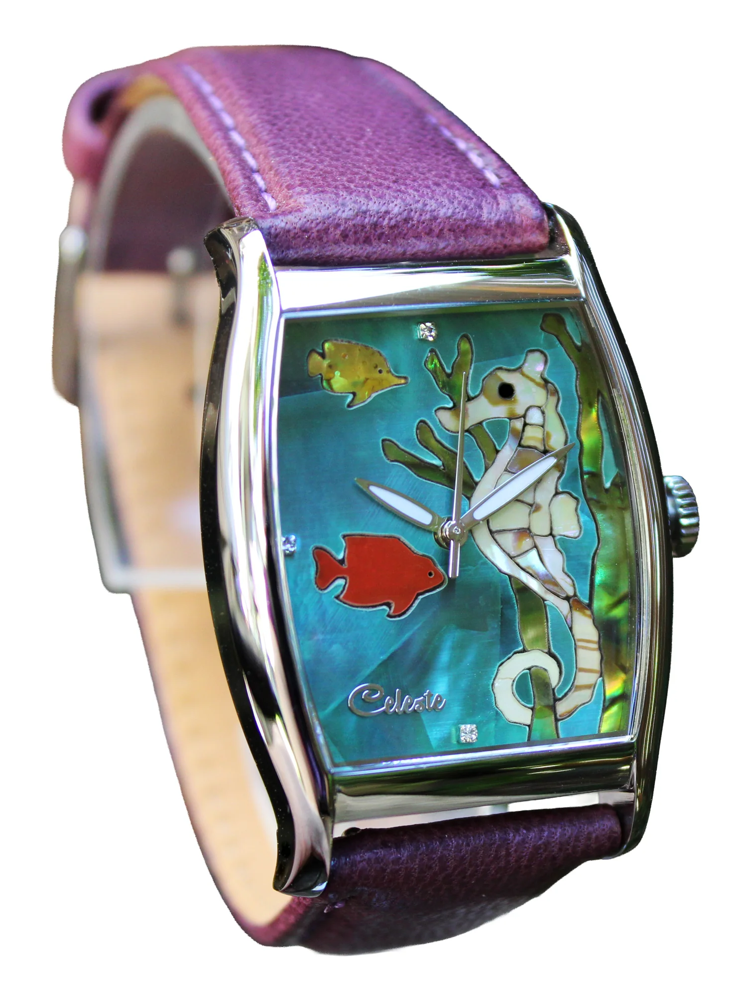 Seahorse thumbnail 2