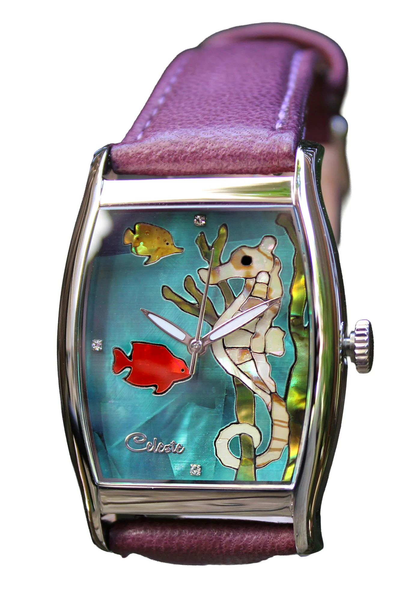Seahorse thumbnail 3