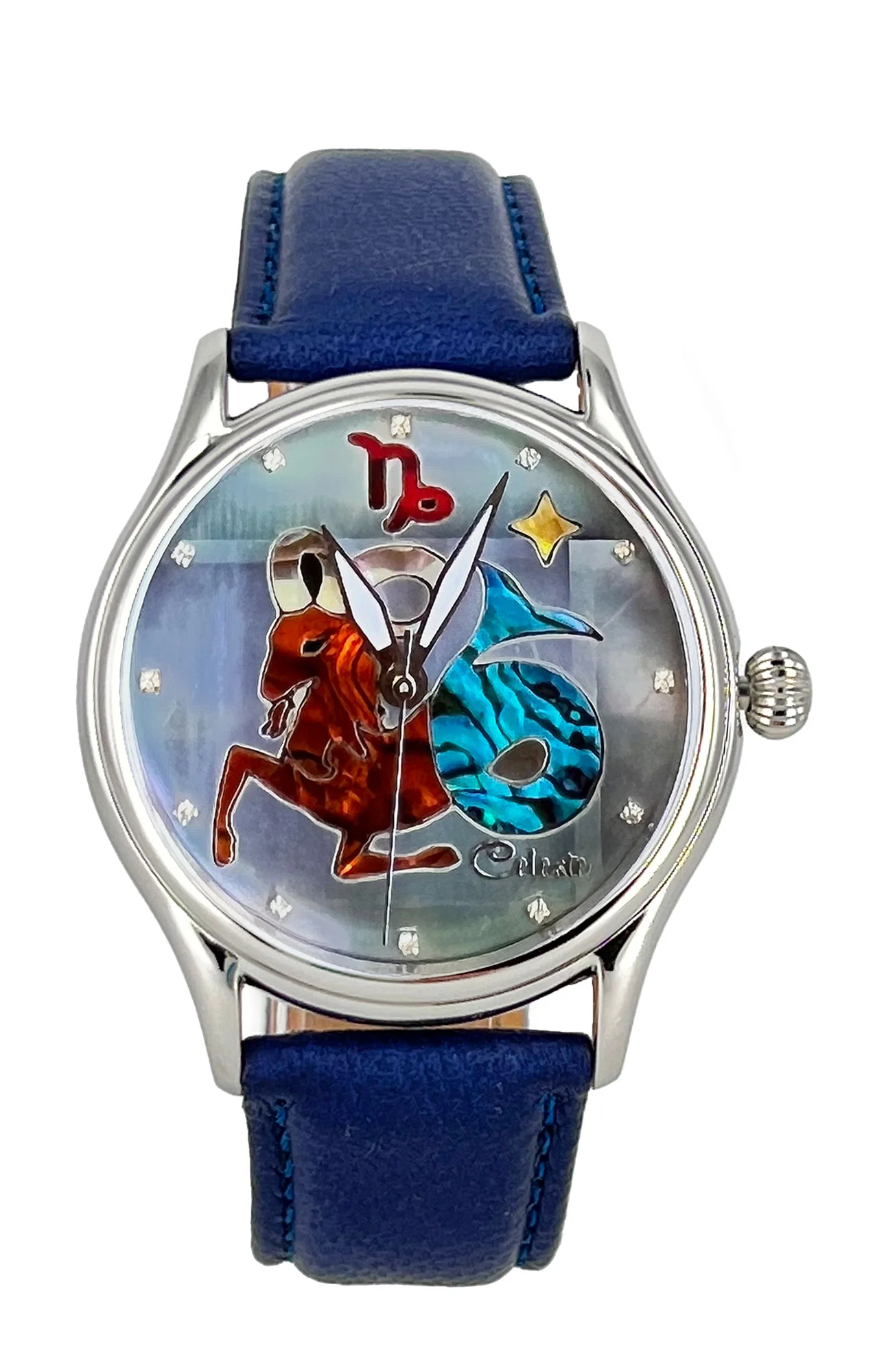 Zodiac Capricorn Astrology selected view