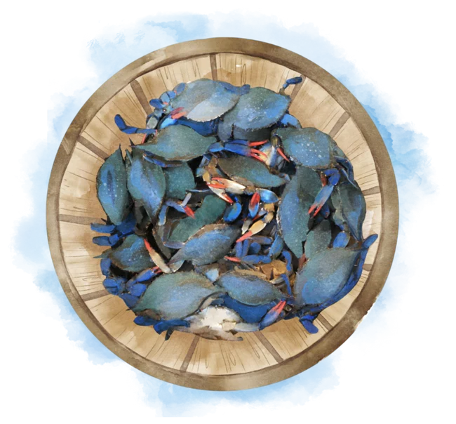 Crab Bake thumbnail 2