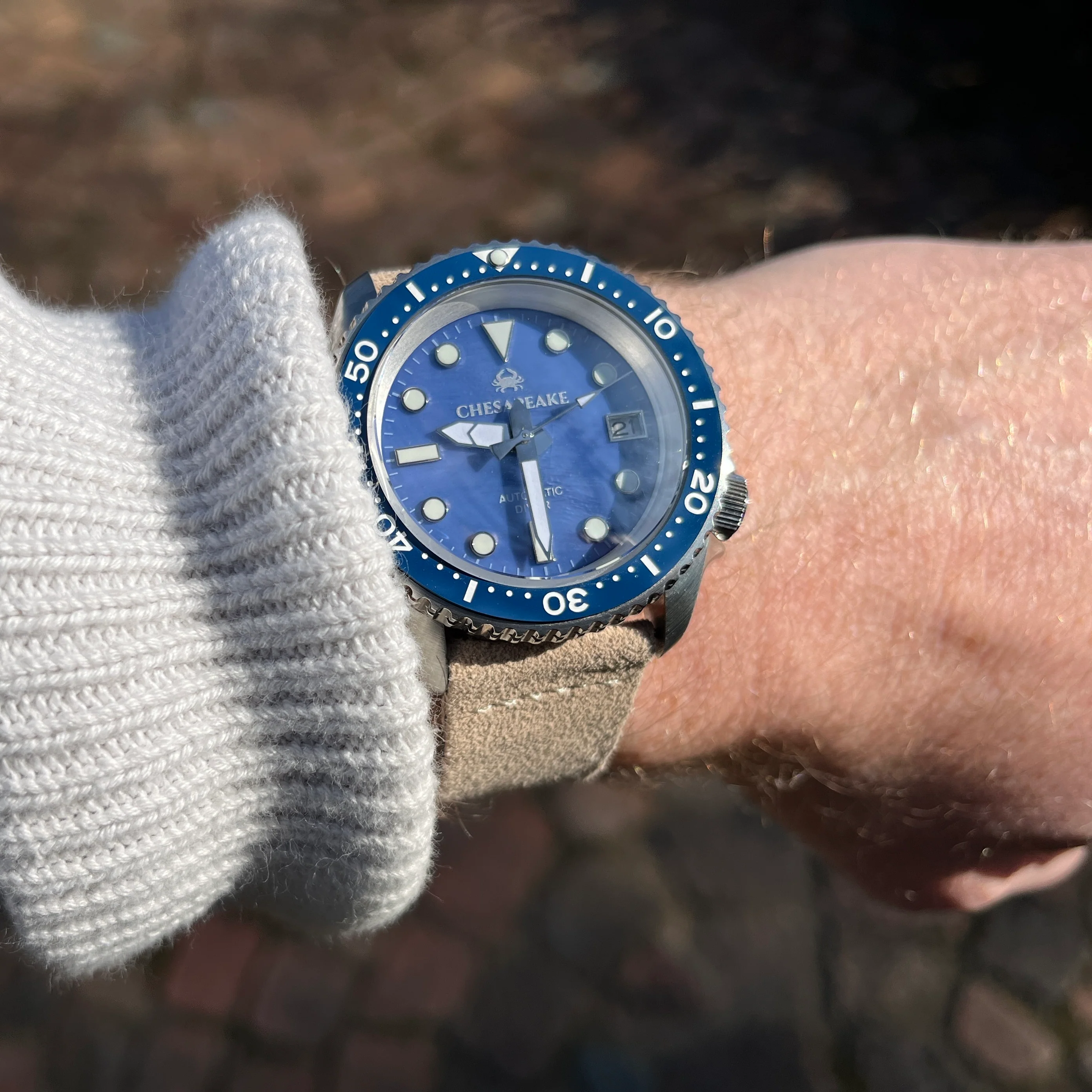 Eastern Oyster thumbnail 2