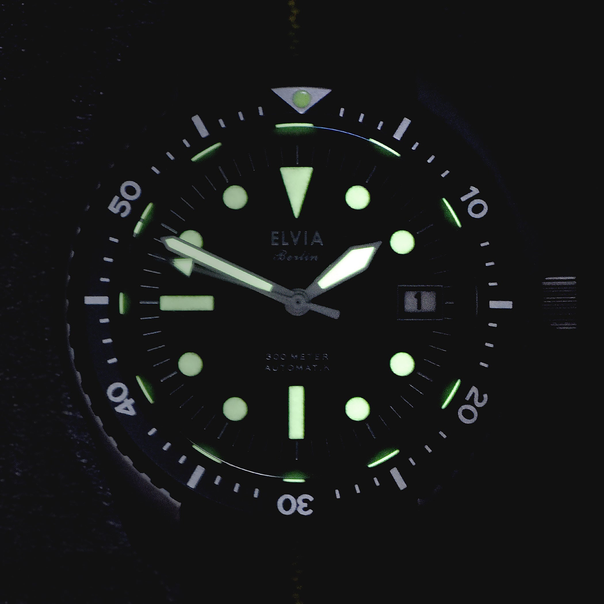 ELVIA Automatic Military Divers Watch with Sapphire Crystal, 24 jewel movt thumbnail 2