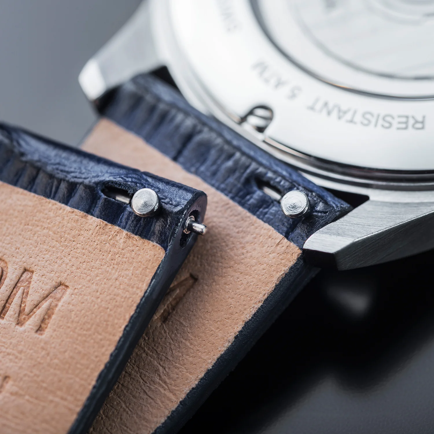 Gentleman 16156614 thumbnail 3