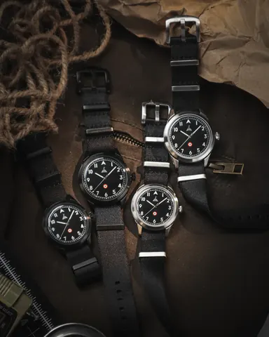Delhi Watch Company catalog