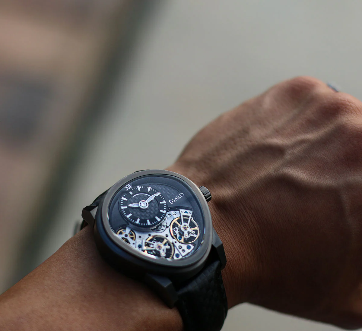 Quantus Carbon-Beast AUTO thumbnail 2
