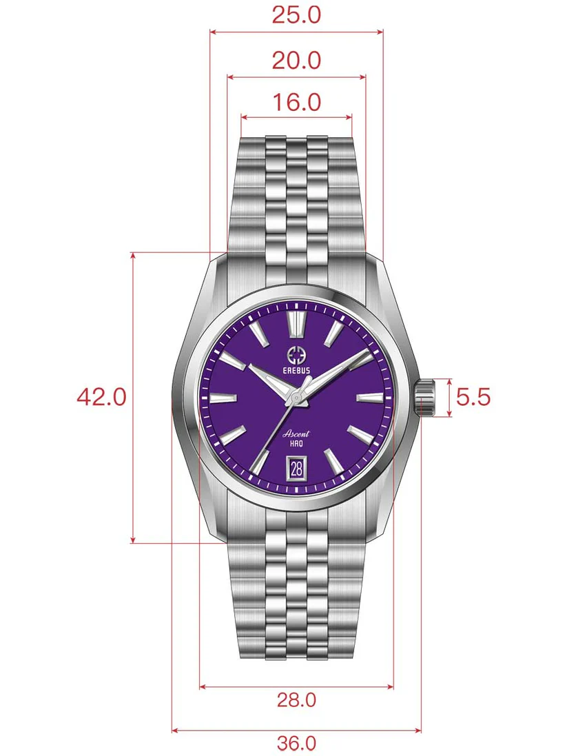ASCENT HAQ 36 Purple Enamel