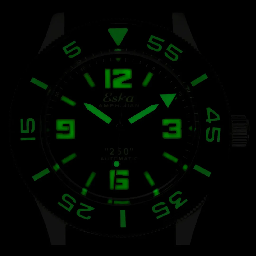 Amphibian 250-WS thumbnail 2