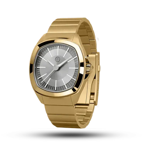 TIME MASTER 70 GOLD / SILVER
