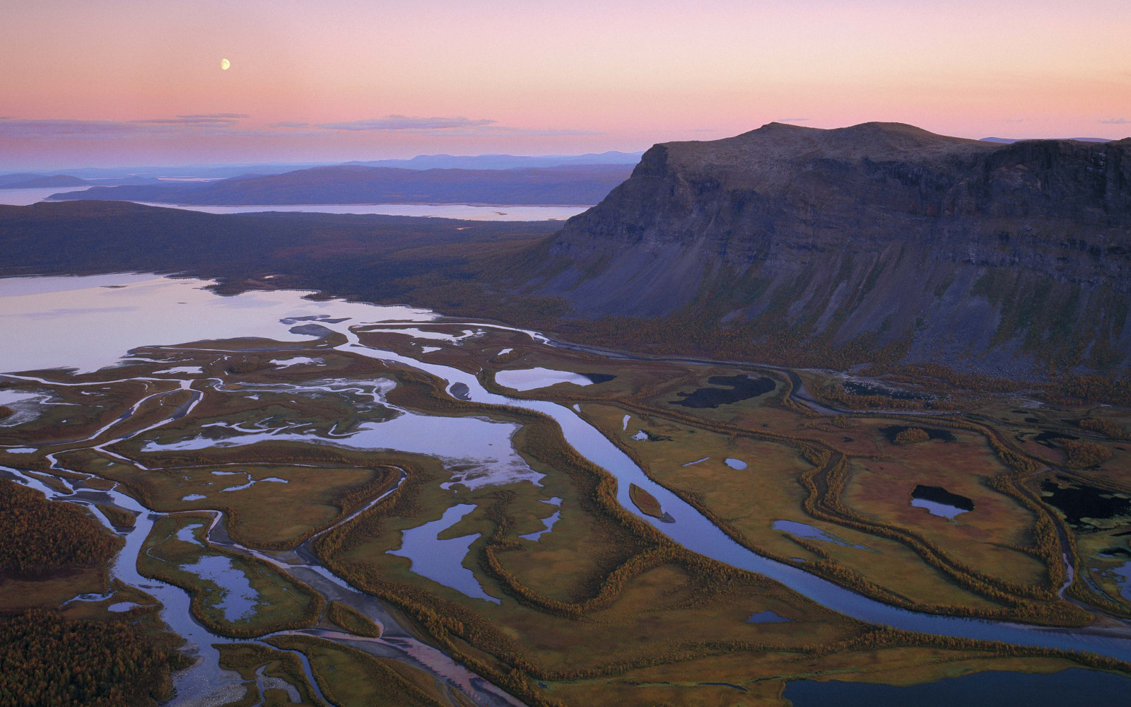 Sarek Trollius thumbnail 2