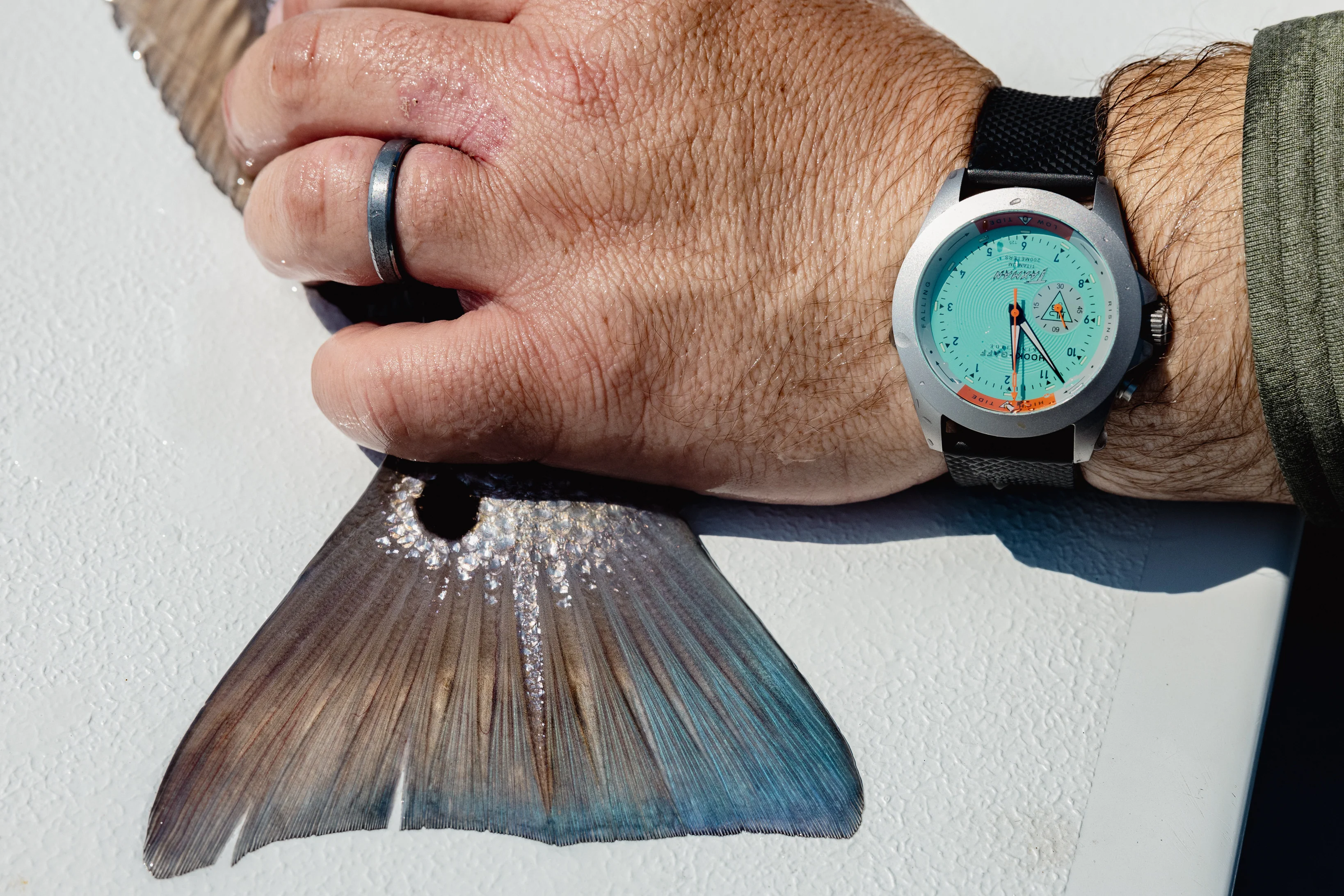 King Tide Watch - Taxman thumbnail 2