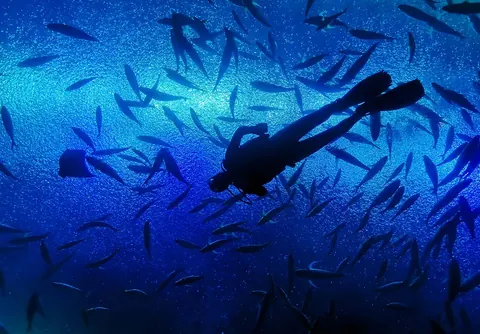Starshine Ocean