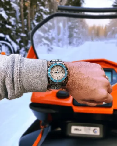 SnowMobiler