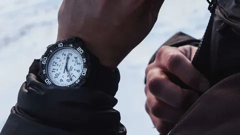 HAWK POLAR