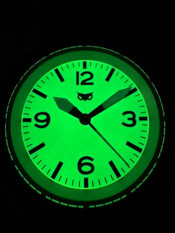 NOCTUA WATCH CORP. PFL-1