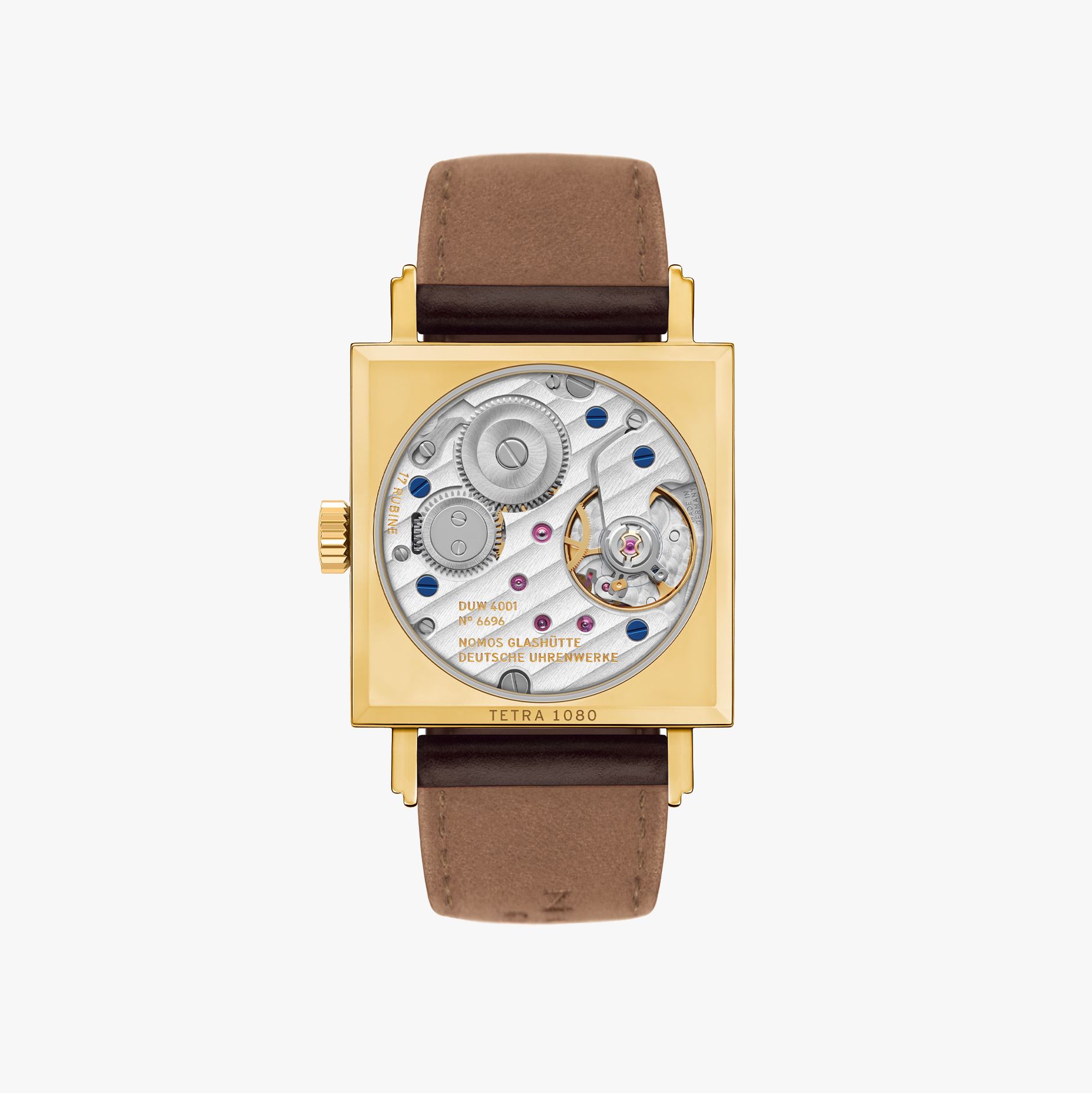 Tetra gold doré thumbnail 2