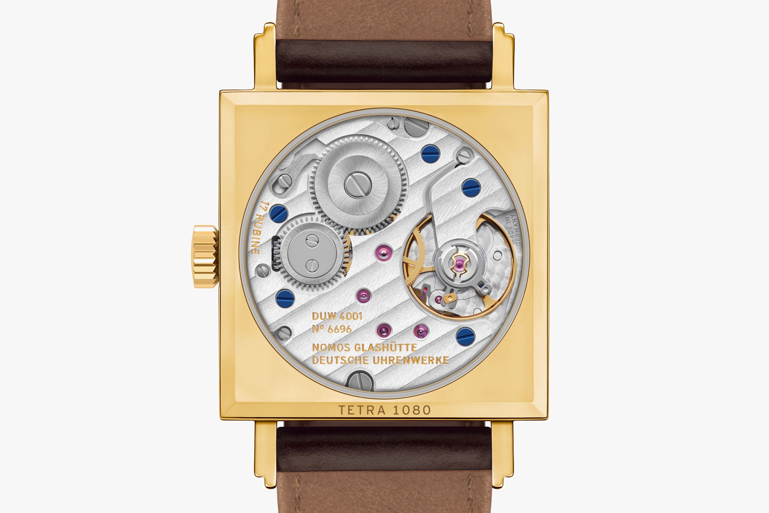 Tetra gold doré thumbnail 4