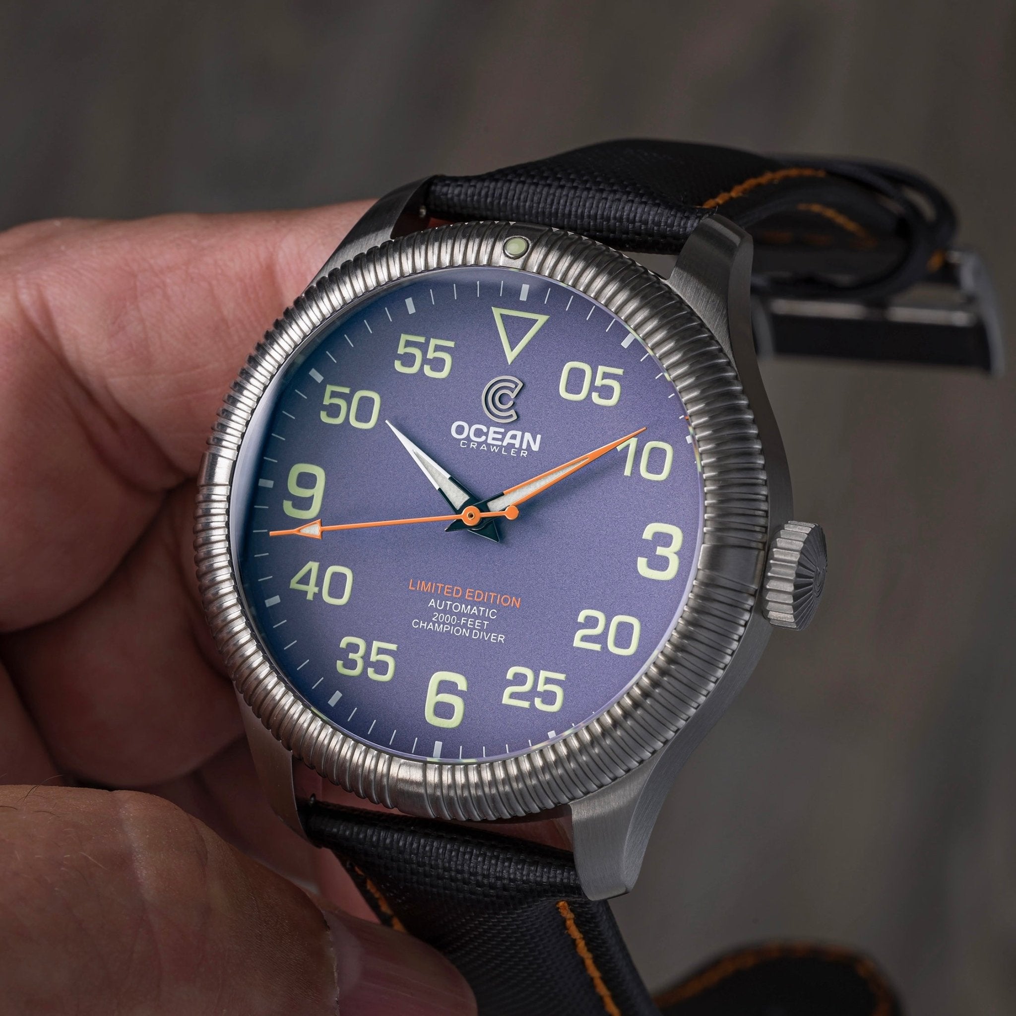 Champion Diver - Limited Edition - Mulberry thumbnail 2