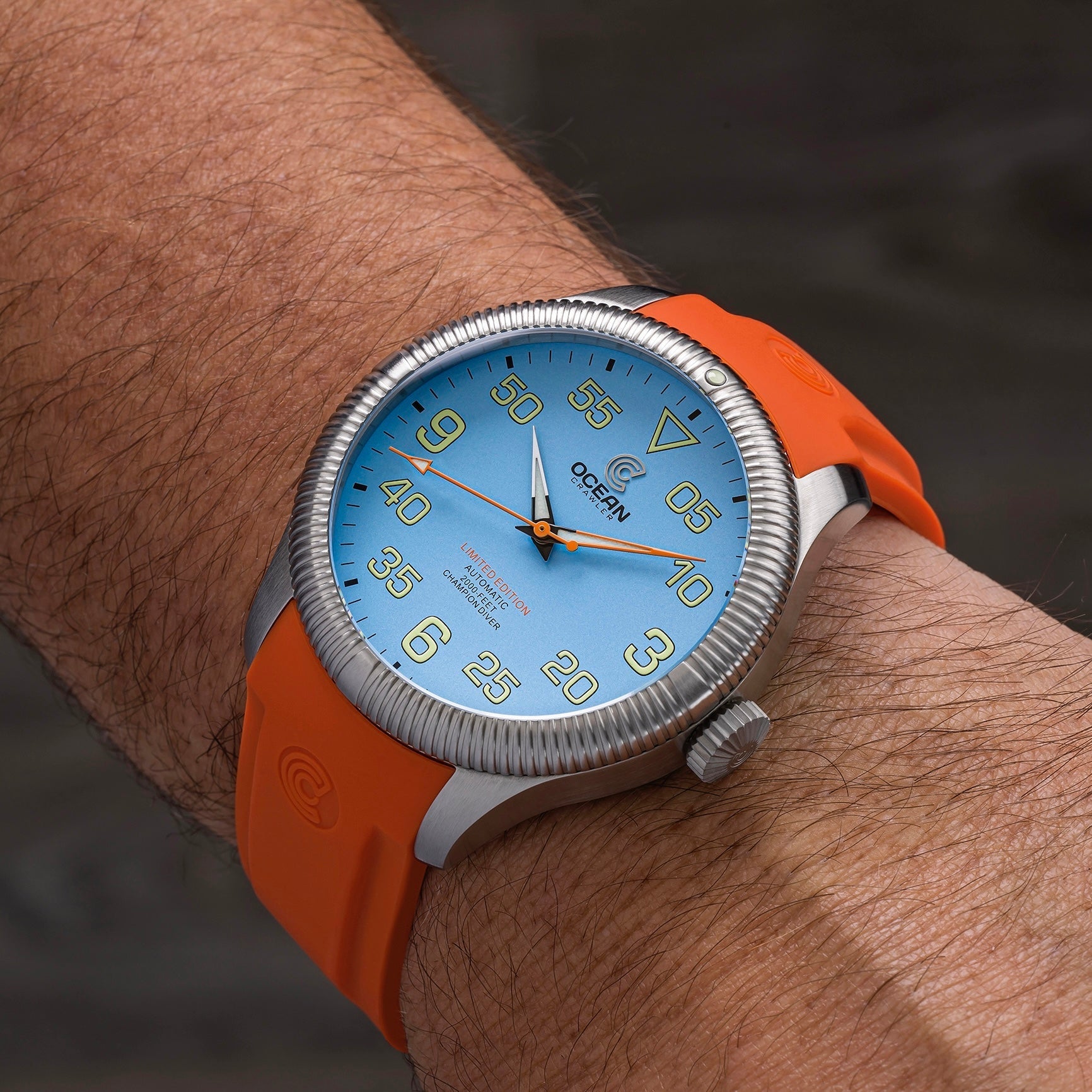 Champion Diver - Sample - Like New thumbnail 3