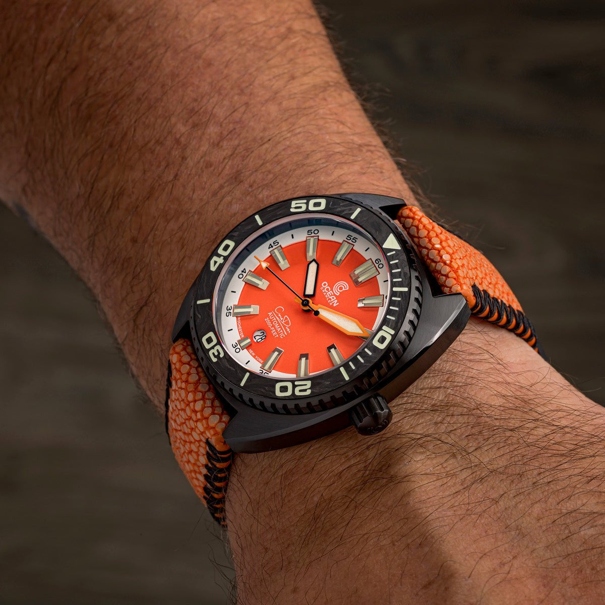 Ocean Crawler Core Diver - Garibaldi LE - 2 Straps included! thumbnail 3