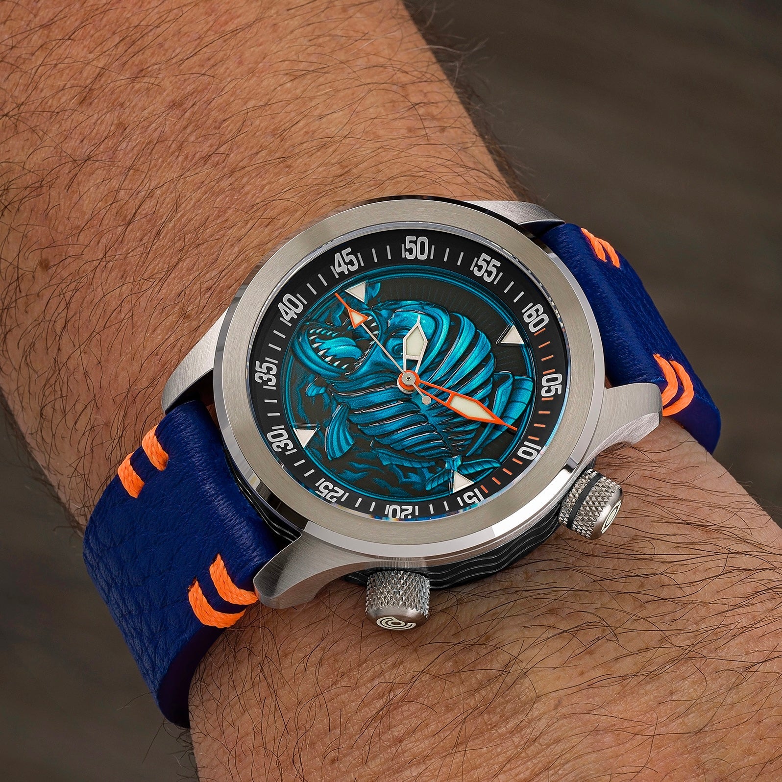 Piranha - Black/Blue thumbnail 3