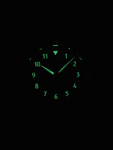 Ratio Skysurfer Pilot Black Sunray Dial Leather Automatic RTS314 200M Mens Watch