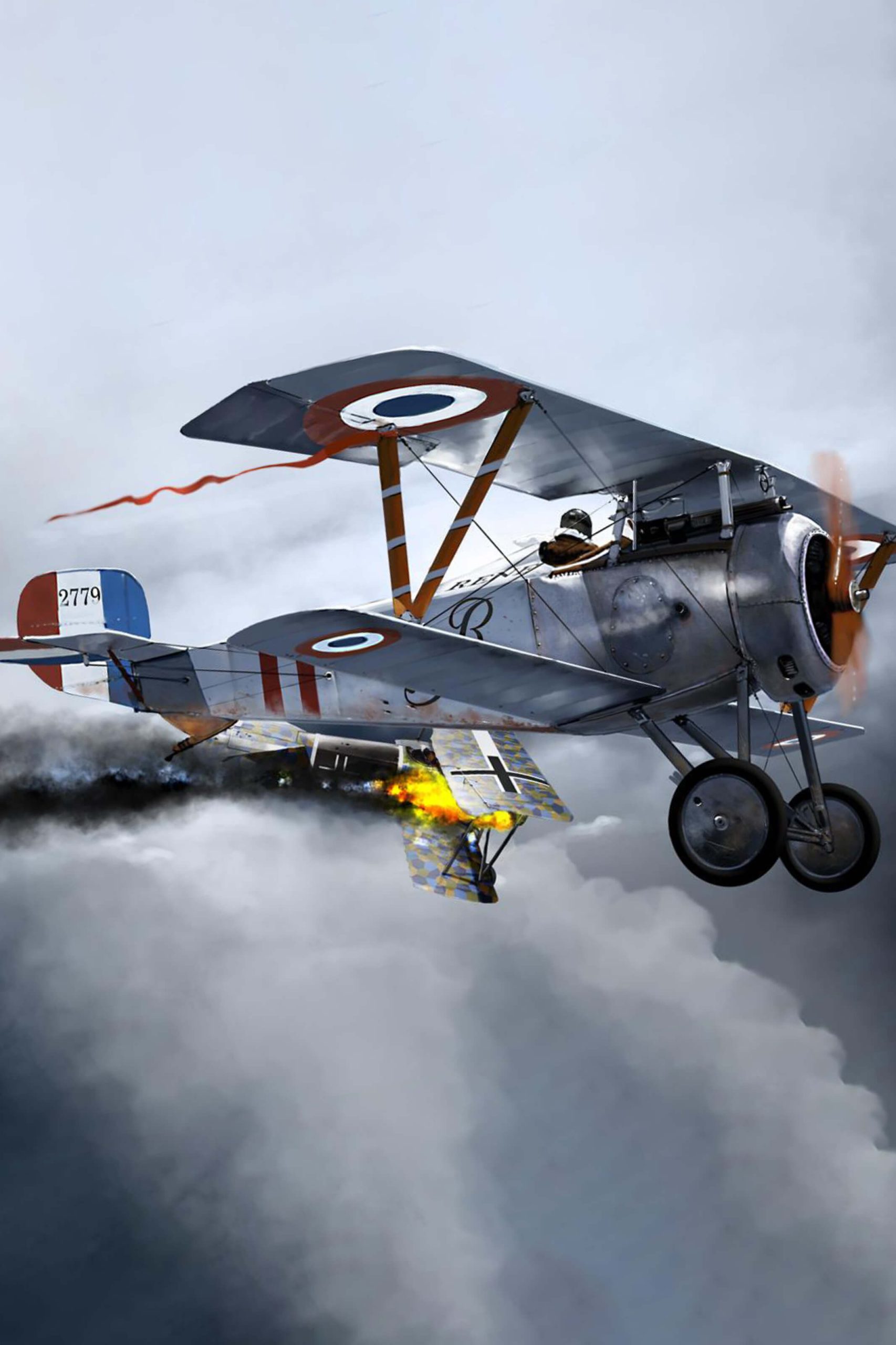Black Sparrow thumbnail 3