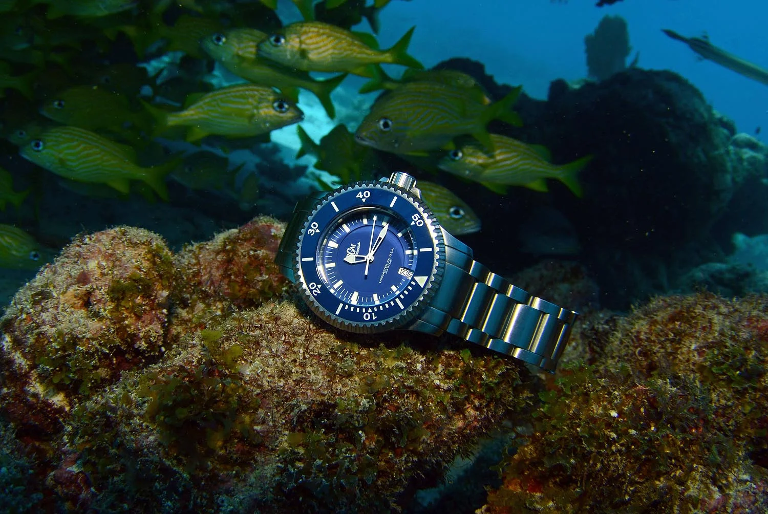 Model 300 Divers thumbnail 2