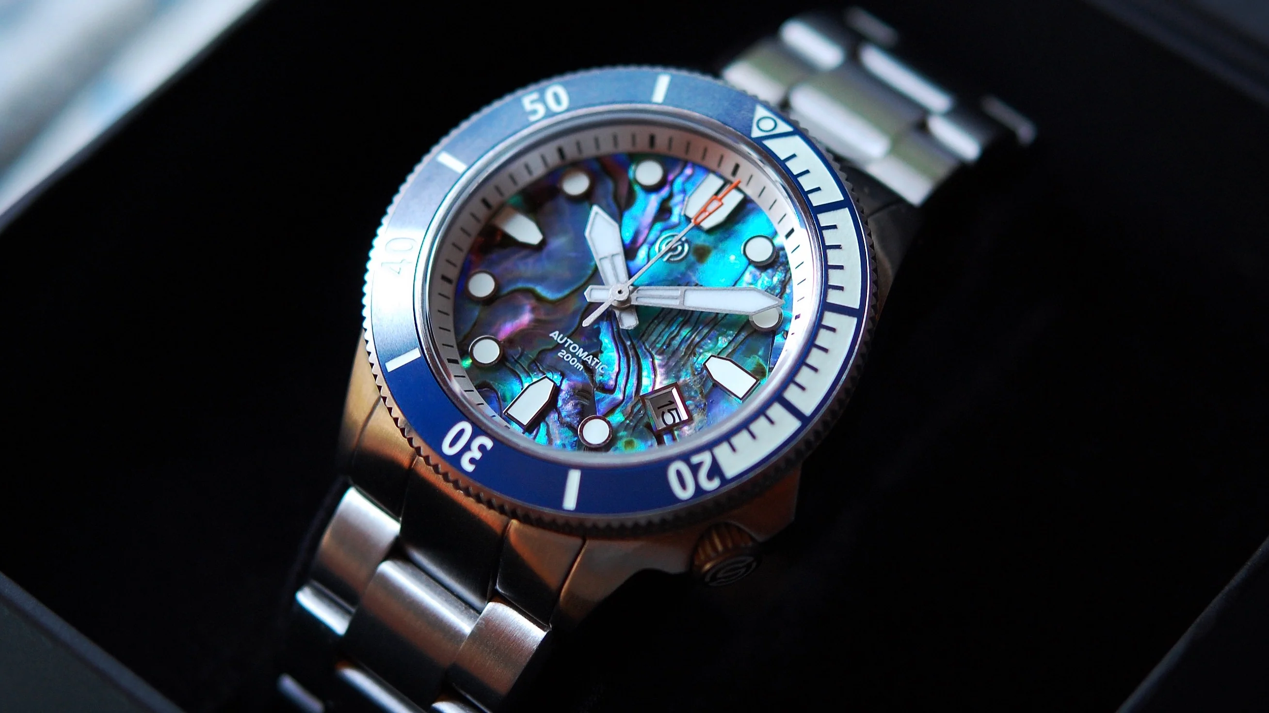 Signum Cuda Abalone