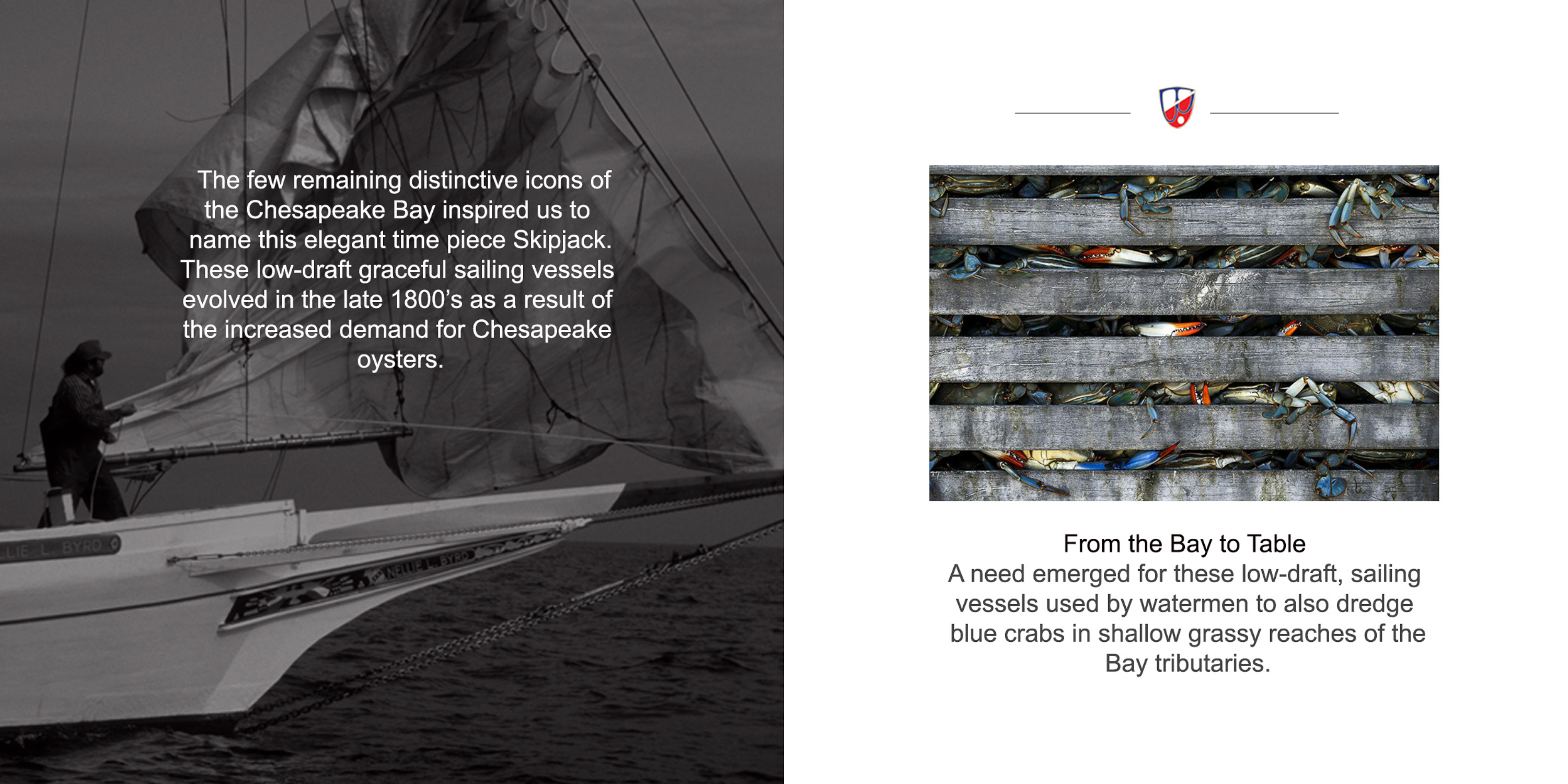SKIPJACK thumbnail 3