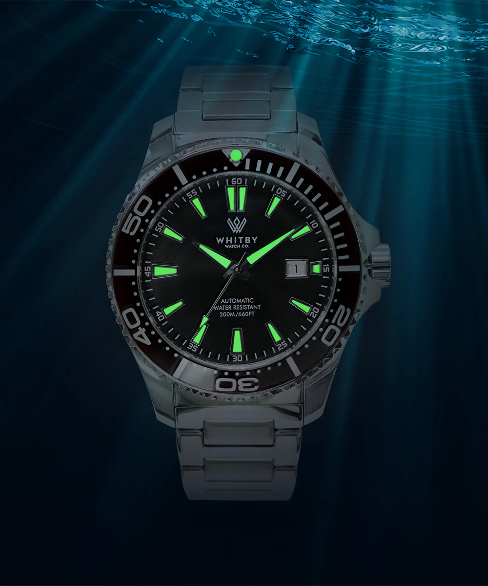 Intrepid Diver - BLACK thumbnail 2