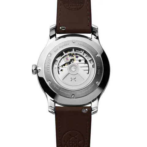 Regulator Automatic Salmon